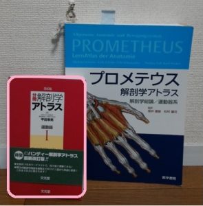 おすすめの解剖学書アトラス