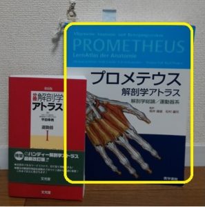 おすすめの解剖学書プロメテウス